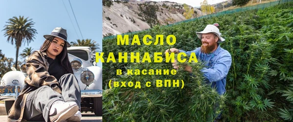 индика Абинск