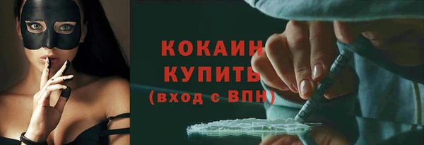 индика Абинск