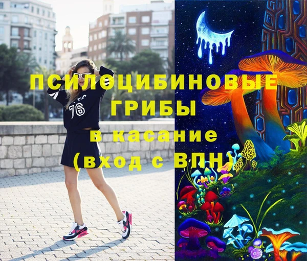 не бодяженный Алексин