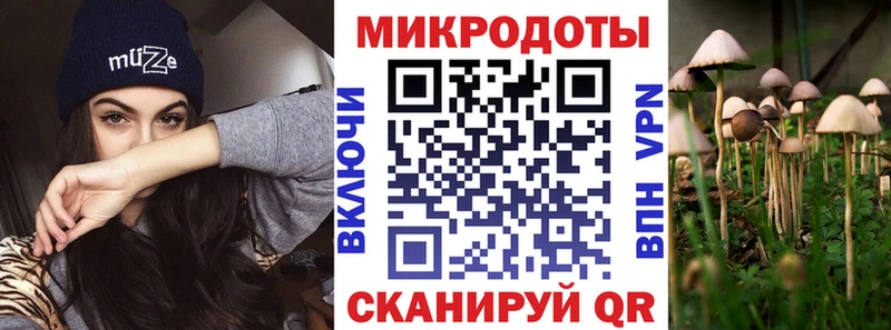 Псилоцибиновые грибы прущие грибы  Магнитогорск 