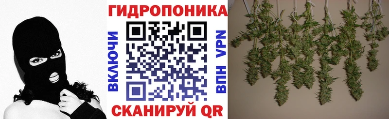 закладки Магнитогорск Шишки марихуана индика